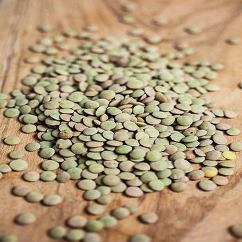 Affordable Green Lentils for Restaurants Supermarkets Food Suppliers and Large Scale Distribution Needs - TRADECENTRIC LLC - United States