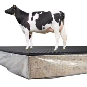 Quality-Made Equine Cow Mattress for Horses, Cattle & Other Livestock - Hebei Baihui Technology Co., Ltd. - China