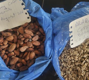 high Grade Sun Dried Cocoa Beans - Cameroon Cocoa Union - Cameroon