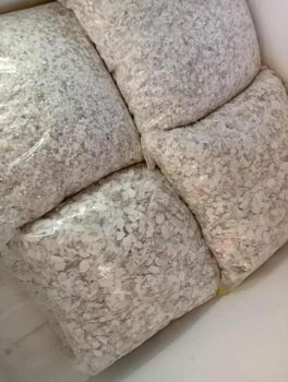 Oyster shells Origin Regional Features Organic Form Powders, Whole Degree of Processing Dried - PESOL GLOBAL NIG ltd - Nigeria