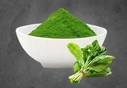 Dehydrated Spinach Palak Powder Type FOB Packaging 25kg-50kg Texture Finely Ground Nutrient Retention Most Of The Natural Nutrients - Jaishnavi Exports - India