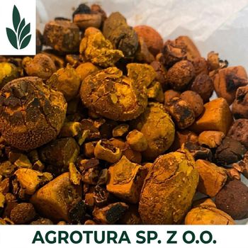 High-Quality Natural Cow Ox Gallstones for Sale – Refined Bovine Gallstones for Medicinal and Industrial Applications, Professionally Graded, Dried, and Packaged for International Wholesale Distribution with Strict Quality Control and Competitive Pricing - agroturaspzoo - Poland