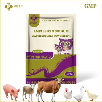 Factory Supply Pharmaceutical Medicine Ampicillin Sodium Water Soluble Powder 10% 20% Veterinary Poultry Medicines for Livestock - Shanghai Ganglu Huinong Biotechnology Co., Ltd. - China