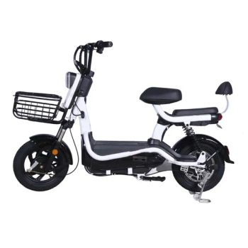 Motorcycle for 2023 Motor 1000W Work 18inch or 19inch 8000W Long Range Parts Ebike Conversion 3 Wheel 2 Person Electric Bicycle - Hangzhou Longwin Industry Limited - China
