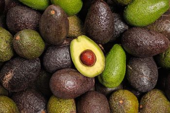 Organic Fresh Avocado, Premium Grade, Nutrient-Rich Fruit, Perfect for Cooking & Healthy Eating - AGRONOVA - United States