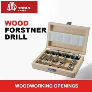 Hot Sale 5PCS Wooden Box Custom Size Forstner Drill Bits for Wood Working - DANYANG DAMING TOOLS CO., LTD. - China