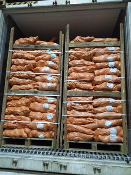 Semi husked coconut whole (mature) from Ivory Coast Variety Hybrid Diameter 3.5 + Inch Shelf Life 24 months Availability All Year - De Mel Impex Trading FZ LLC  - United Arab Emirates