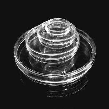 Transparent Medical Manufacturer Cell Petri Dishes with Agar Steriled - FUZHOU BORNI PHARMACEUTICAL SCI.& TECH.CO., LTD. - China