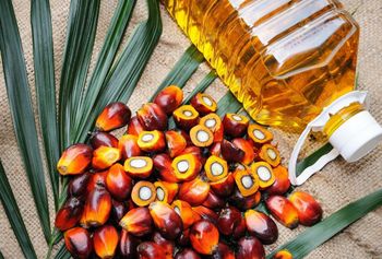 Palm Olein RBD from Desopech LLC Palm Olein RBD - Desopech LLC - United States