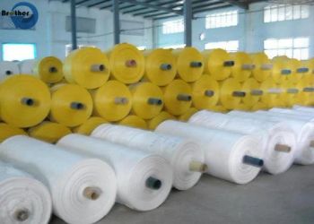 PP Woven Fabrics / Sacks/PP Woven Rolls 1800mm Lamination Fabric - Weifang Brother Packing Co., Ltd. - China