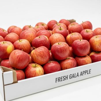 Fresh Gala Apple Selected Farm Harvest With Crisp Texture And Rich Flavor For Bulk Export And Retail Distribution - TOSOH INTERNATIONAL - South Africa