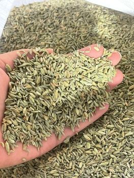 fennel seeds - Roselle herbs - Egypt