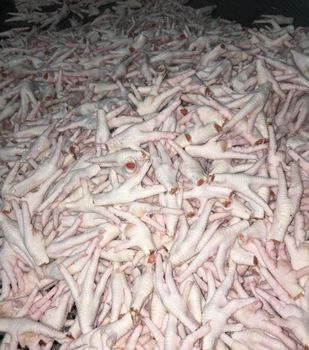 Bulk Premium chicken feet wholesale stock Features Gluten-Free, Organic - ARZQ ASLM LLC - United States