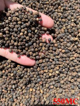 black pepper - 84903369600 from Huong black pepper - 84903369600 - Huong - Vietnam