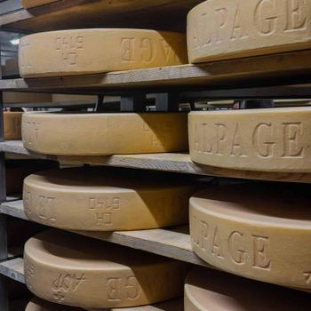 Gruyere Cheese Whole Wheel sale Quality Premium Shelf Life 4 Years+ Type Classic / Aged Gruyere - AgronoMarket - United States