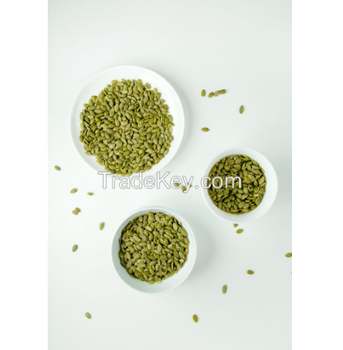 Natural Yellow Lentils (Moong Dal) – Protein-Rich Pulses for Export | Cleaned, Polished & Ready for Food Industry Use - TRADE NEPAL LLC - United States