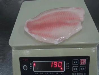 Frozen Chinese Delicious Seafood Tilapia Fillet Origin China HS Code 030323 Shelf Life >12 Months Saving Condition - Yantai East Food Storage Co., Ltd. - China