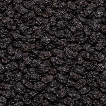 Wholesale Sweet Natural Shade AD Oil Preserved Black Raisins Bulk Dried Fruit Grade - CPW TRADE LTD - United Kingdom