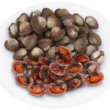 100% Frozen Fresh Whole Blood Cockle For Sale With Customized Packing High Quality And Cheap Price From Vietnam - TOP CARGO COMPANY LIMITED - Vietnam