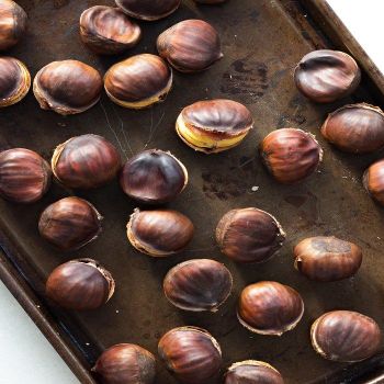 Best Wholesale Price High Quality 100% Organic Dried Bulk Chopped Water ChestNut Calling for Worldwide Distributors from TRADECENTRIC LLC Best Wholesale Price High Quality 100% Organic Dried Bulk Chopped Water ChestNut Calling for Worldwide Distributors - TRADECENTRIC LLC - United States