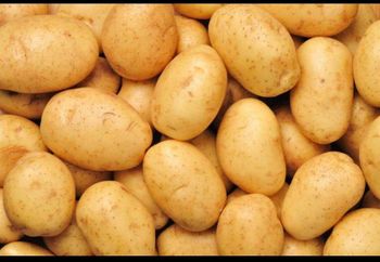 Fresh potato Origin Bangladeshi Packaging Per Bag 50kg - Rimi apparels LTD  - Bangladesh