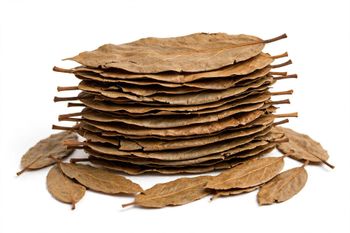 Dried Catappa Leaves Indian Almond Leaves - Grade A 12-20cm - 100% Natural Sun Dried from Walapane Highlands - For Betta - Pathum leaves supply - Sri Lanka - Sri Lanka