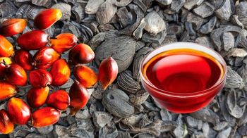 Palm oil,kernel shells from Malcom Global Palm oil,kernel shells - Malcom Global - Nigeria