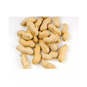 Wholesale Peanuts bulk supply affordable price fresh high quality from Starmark Company Limited Wholesale Peanuts bulk supply affordable price fresh high quality - Starmark Company Limited - Tanzania
