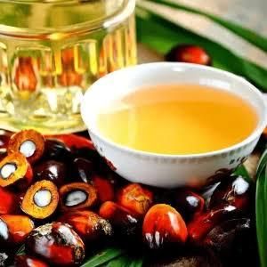 Manufacturer Supply Wholesale Bulk Price RBD Palm Oil 100% Pure Natural Organic Red Palm Oil - Thai Agri Company - Thailand