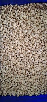 W240 Cashewnut - SREE BANNARI AMMAN DRY FRUITS  - India
