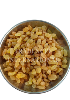 GOLDEN RAISINS - TRADEXCEL INTERNATIONAL - India