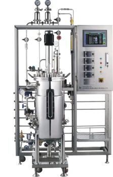 Laboratory 304 Stainless Steel Automatic Sterilization and Fermentation Equipment - Shanghai Baoxing Bio-engineering Equipment Co., Ltd. - China