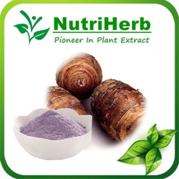 Instant Taro Powder for Bubble Tea & Beverage Customized Mesh Size - Nanjing NutriHerb BioTech Co., Ltd. - China