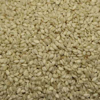 Premium White Hulled Sesame Seeds | High Purity | Made-to-Order Freshness - Mansa Merch, LLC - United States