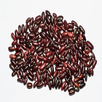 Pure Red Kidney Beans High Protein Whole Beans High Quality Cheap Bulk Wholesale Supply - A.C.P. AGRICULTURE COMPANY LIMITED - Thailand