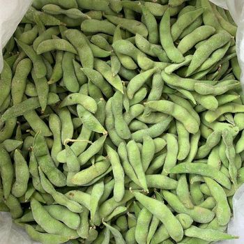 IQF Frozen Edamame Soybeans 75#-Premium Quality Grade A Type IQF Organic No Color GREEN Port XIAMEN Origin China Shape natural - 龙海市格林水产有限公司 - China