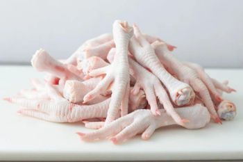 High Quality Halal Chicken Feet Frozen BQF Processed Vacuum Packed Food Grade Export Standard Nutritious Energy Style Supply 10kg Carton - Carla Pisselli Commercio - Brazil