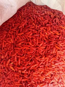 Malaga chillies - Dj - Zimbabwe
