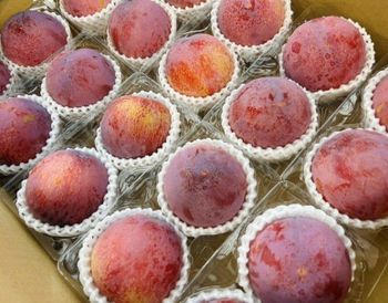 Fresh Kiyo plum pack bulk Japanese plum Type Plum Style Fresh Color Purple Brand Name Kiyo Taste Delicious Content Fresh - ASIA-PACIFIC PRODUCE CO., LTD. - Japan