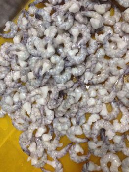 Frozen Prawns Tail Freshly Processed Ocean Harvest With Rich Texture For Foodservice Import Supply And Export Demand - TOSOH INTERNATIONAL - South Africa