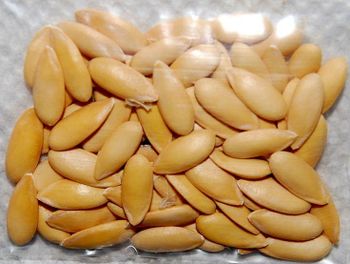 Melon Seeds - World Import Export Trade LLC - Uzbekistan