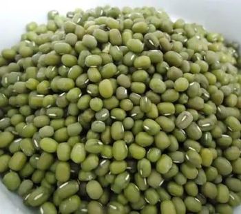 High Quality Organic Green Mung Beans (Moong Dal) Fresh Direct from  Manufacturer at Cheap Price Bulk Sale Lentils