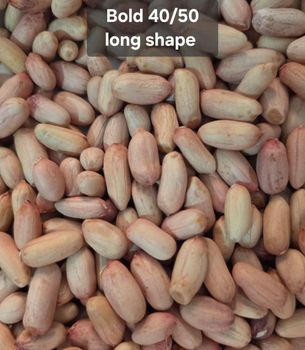Bold Long shape peanut 40/50 - World Peanut International - India