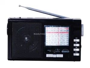 Hot Sale Wholesale Mini Bluetooth Speaker FM/Am/Sw Mulit-Band Portable DSP Radio - Bluesky Enterprises Co., Ltd. - China