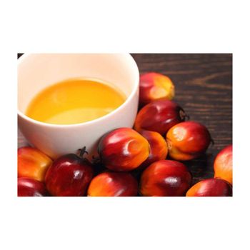 Palm Oil available at discount price for bulk supply catering to wholesale buyers and distributors from Starmark Company Limited Palm Oil available at discount price for bulk supply catering to wholesale buyers and distributors - Starmark Company Limited - Tanzania