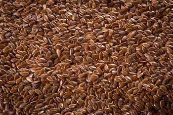 Flax Seed Stock Photo - Download Image Now - Flax Seed, Flax Crop - Balingi Trading Company (PTY) Ltd - South Africa
