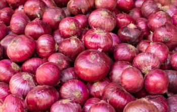 Premium Fresh Pakistani Red Onions – A Grade, Export Quality, Bulk Wholesale Supply – product photo, Recommend Fallback