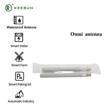 Dual Band Lorawan Communication Fiber Glass Omni Antenna - Shenzhen Keesun Technology Co., Ltd. - China