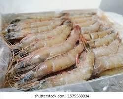 Frozen Queen Prawns Length Range 100-150 Mm Place of Origin South Africa Size Grading 26-30 Prawns Per Pound Prawns Per Kilogram 57-66 Prawns Per Kg - Chezlynne Trading (Pty) Ltd  - South Africa