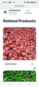 Red Onion - Basant industries - India
